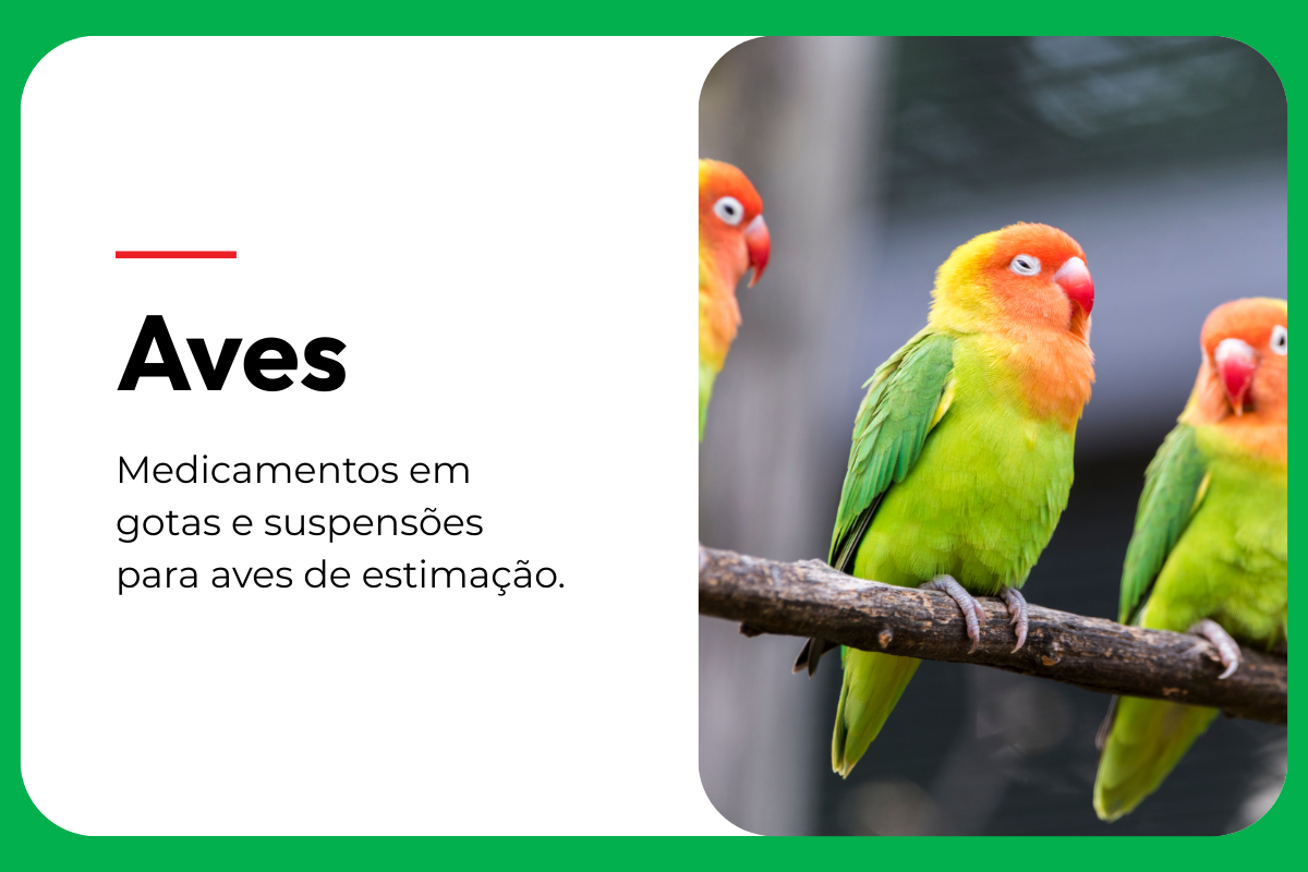 card-aves (1)